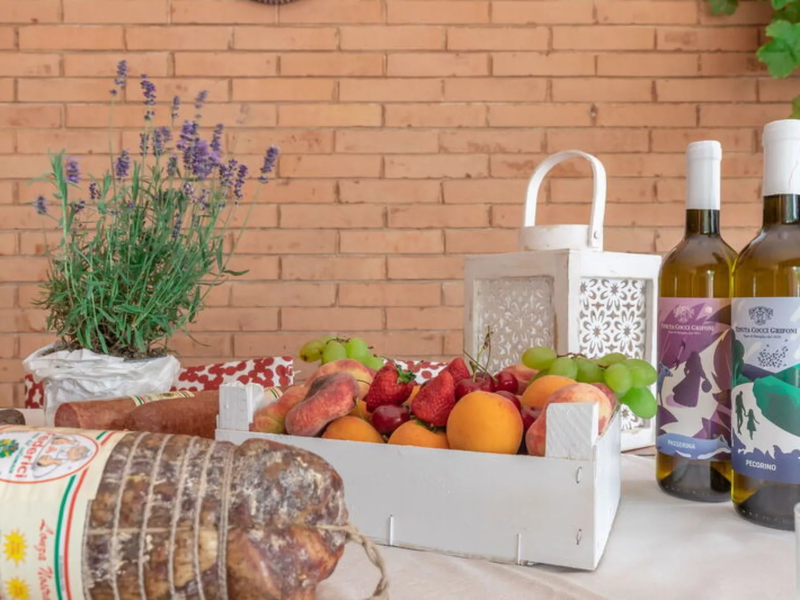 Villa Rosso Corbezzolo - Buiten