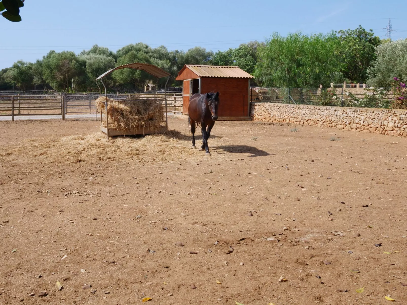 Finca Tort - Buiten