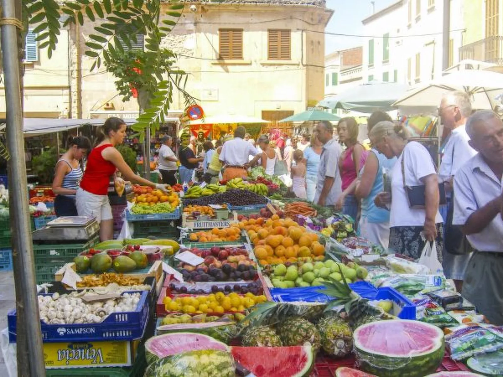 Finca Can Nin - Image-tags.info