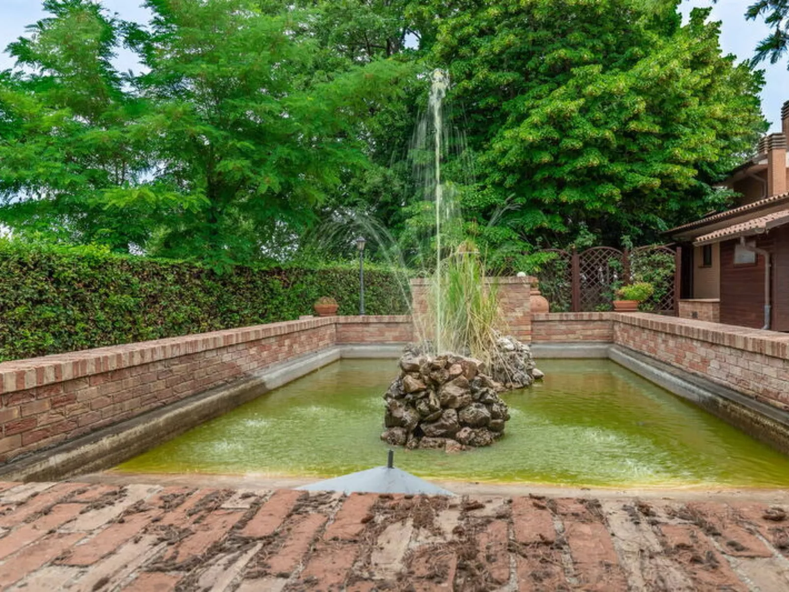 Villa Rosso Corbezzolo - Buiten