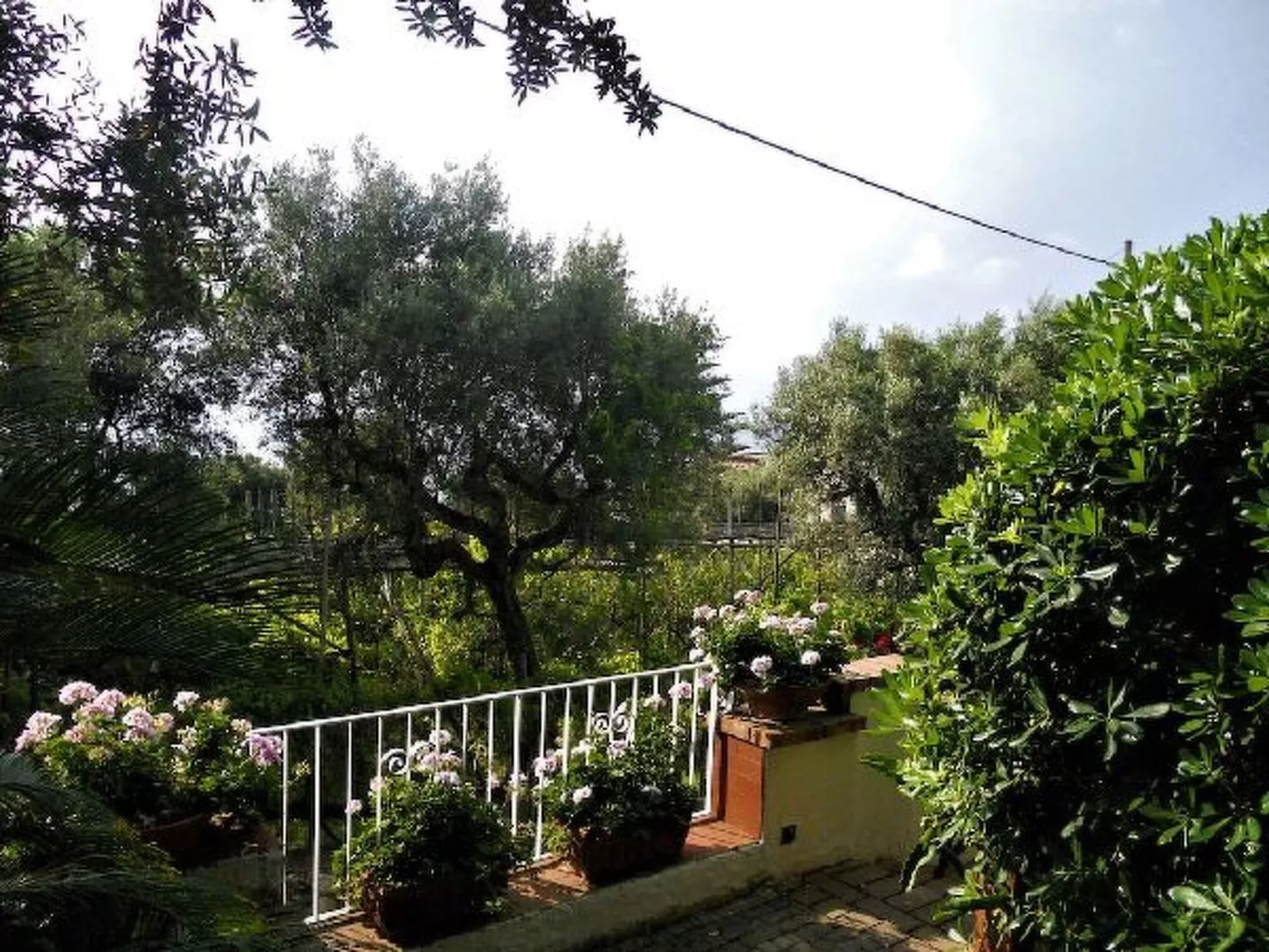 Villa le Olivine Less then 5 min to Sorrento - Image-tags.info