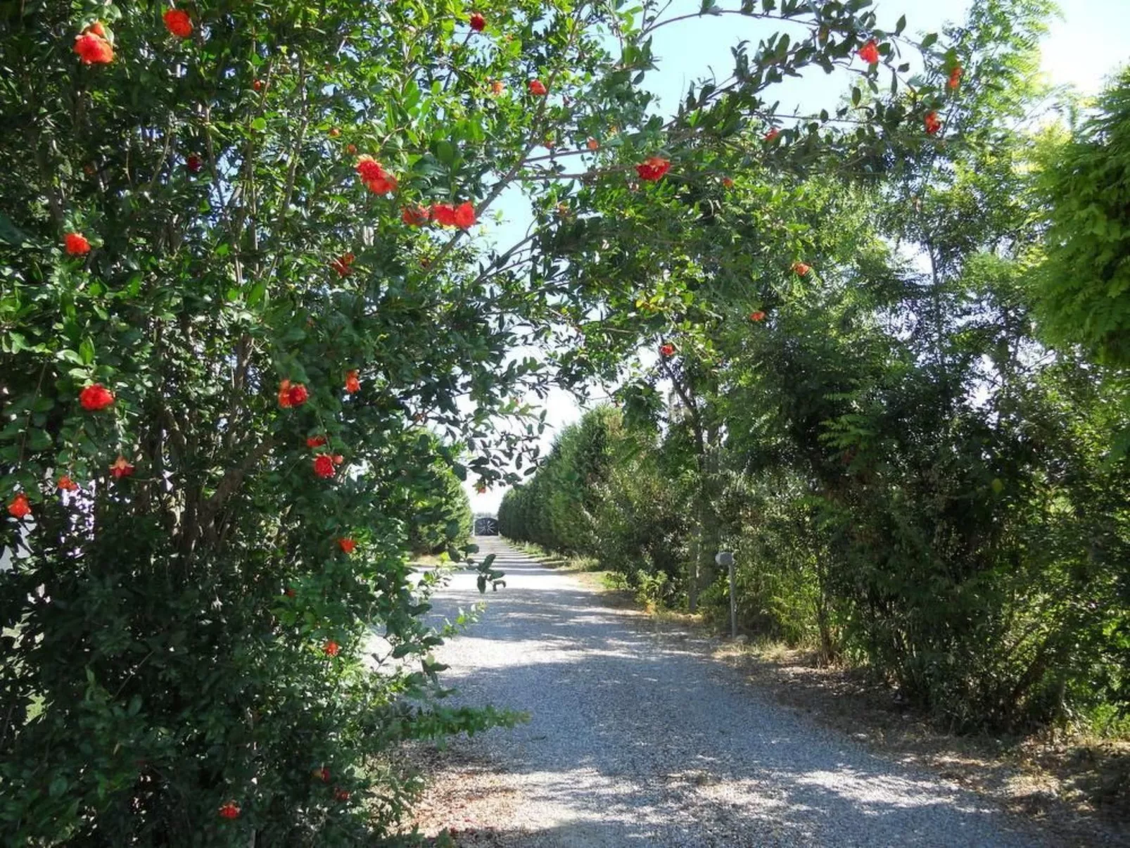 Miniwohnung in Ferrara mit Garten - Buiten