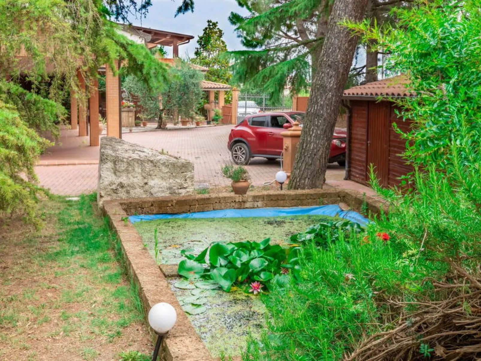 Villa Rosso Corbezzolo - Buiten