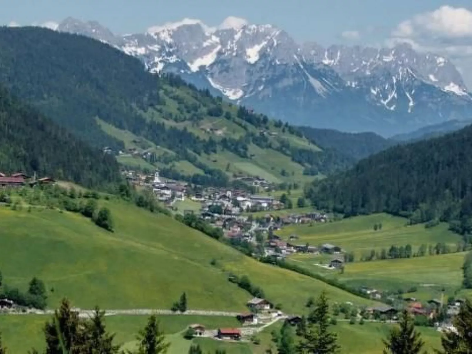 Rosskopf - Image-tags.info