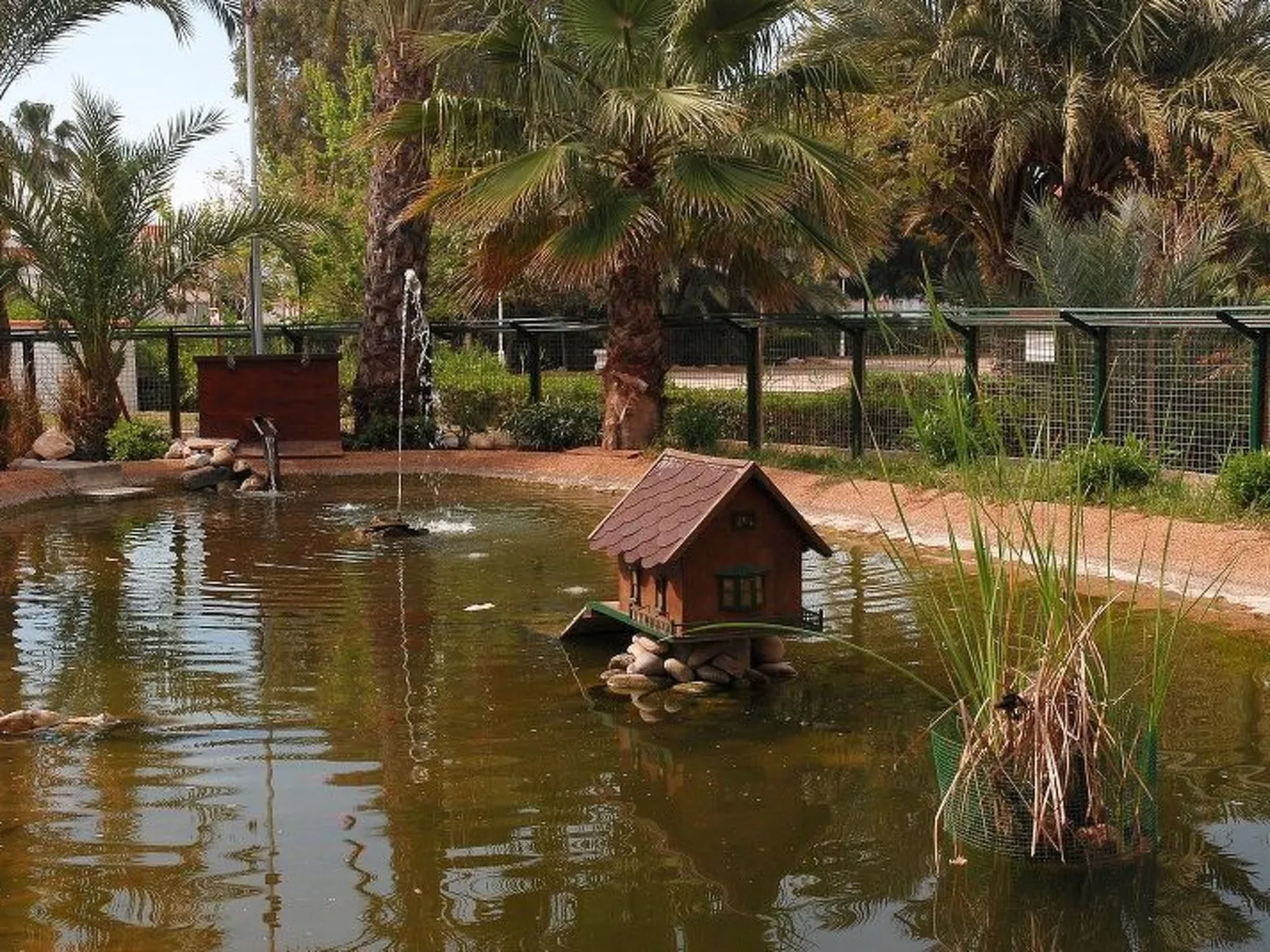 Violeta 17 - Image-tags.info