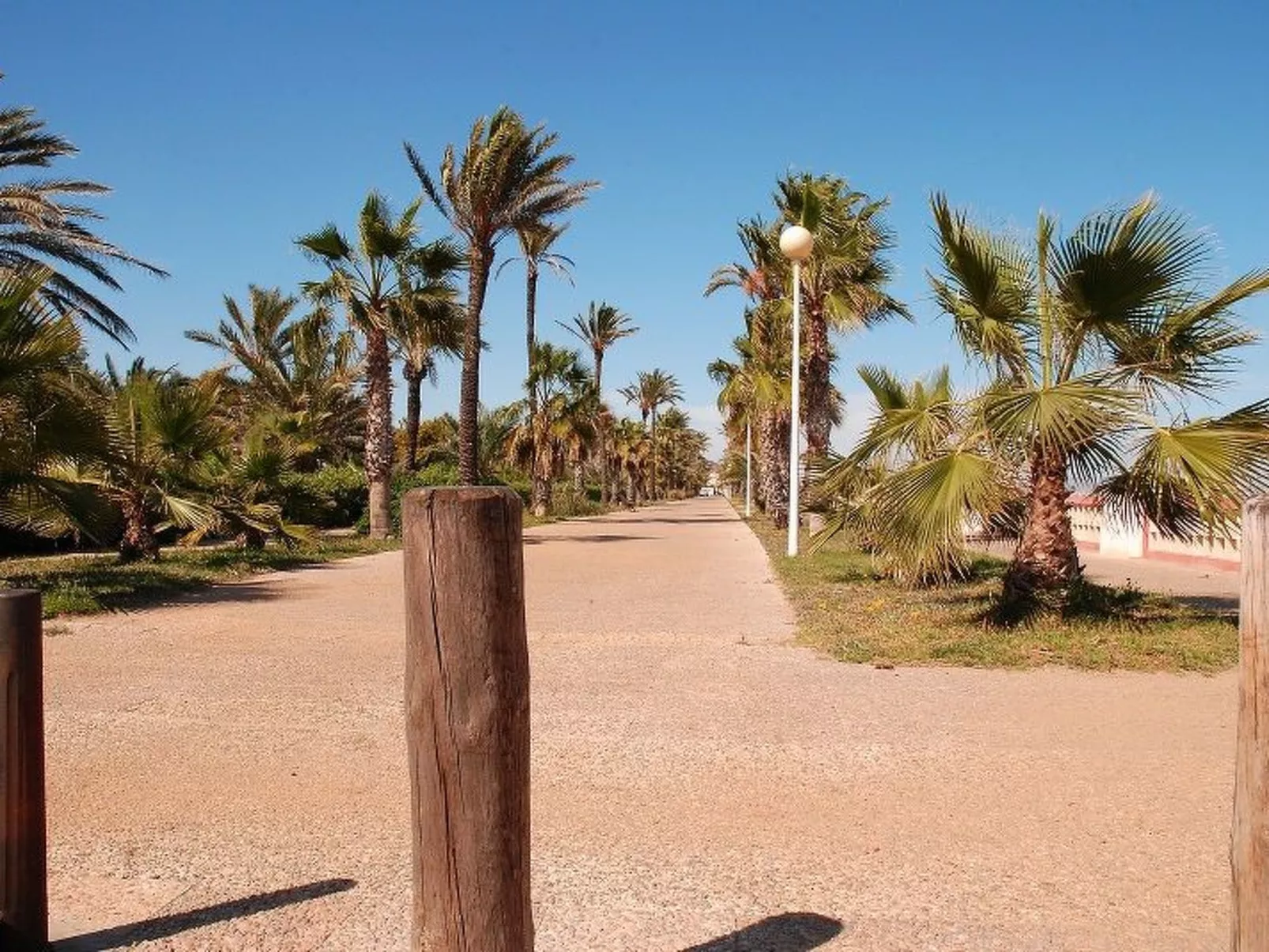 Violeta 17 - Image-tags.info