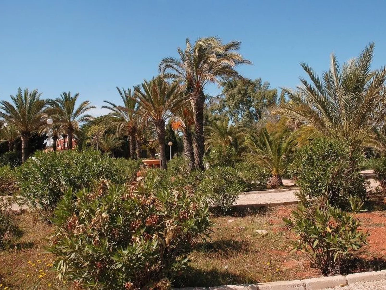 Violeta 17 - Image-tags.info