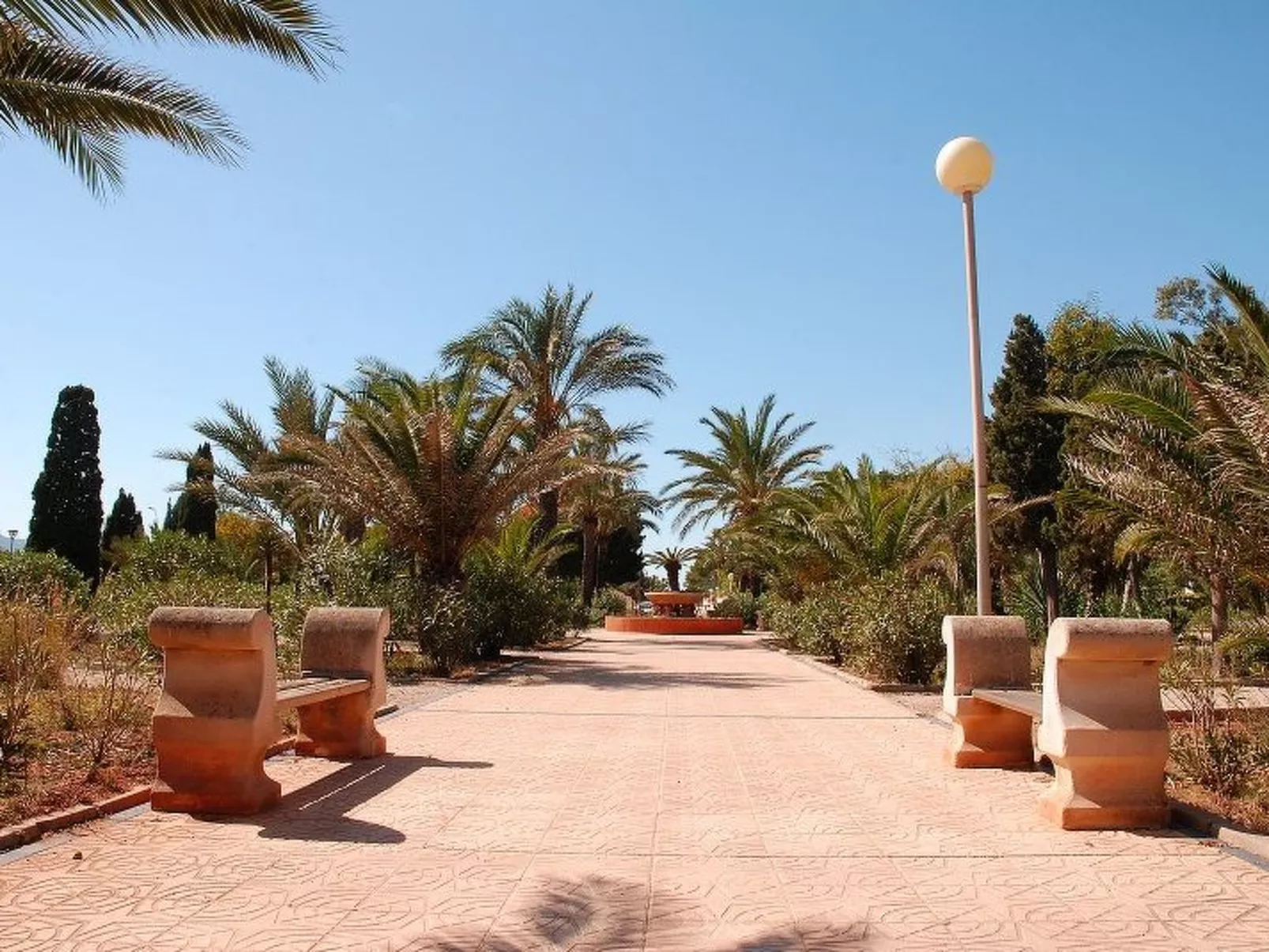 Violeta 17 - Image-tags.info