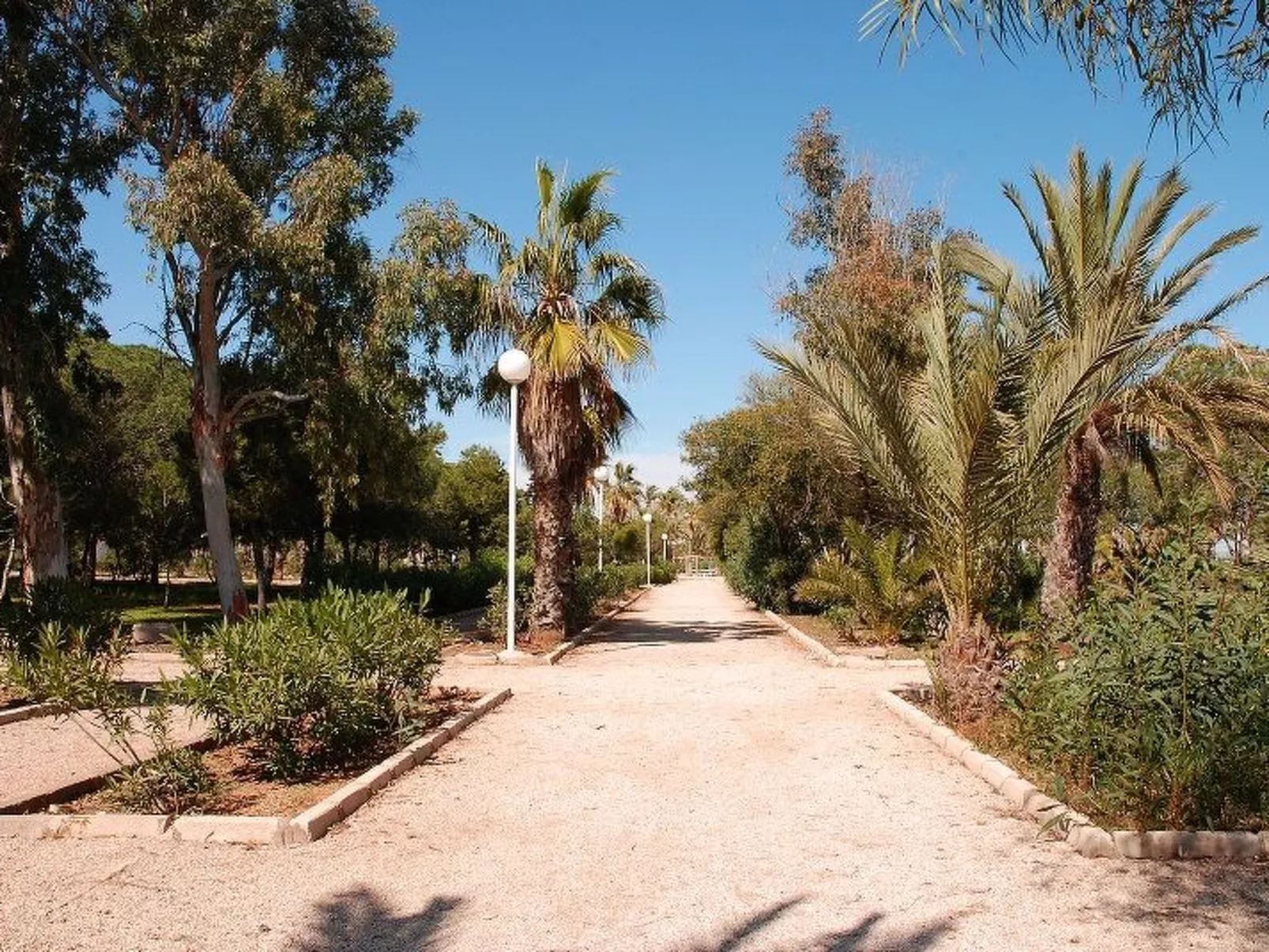 Violeta 17 - Image-tags.info