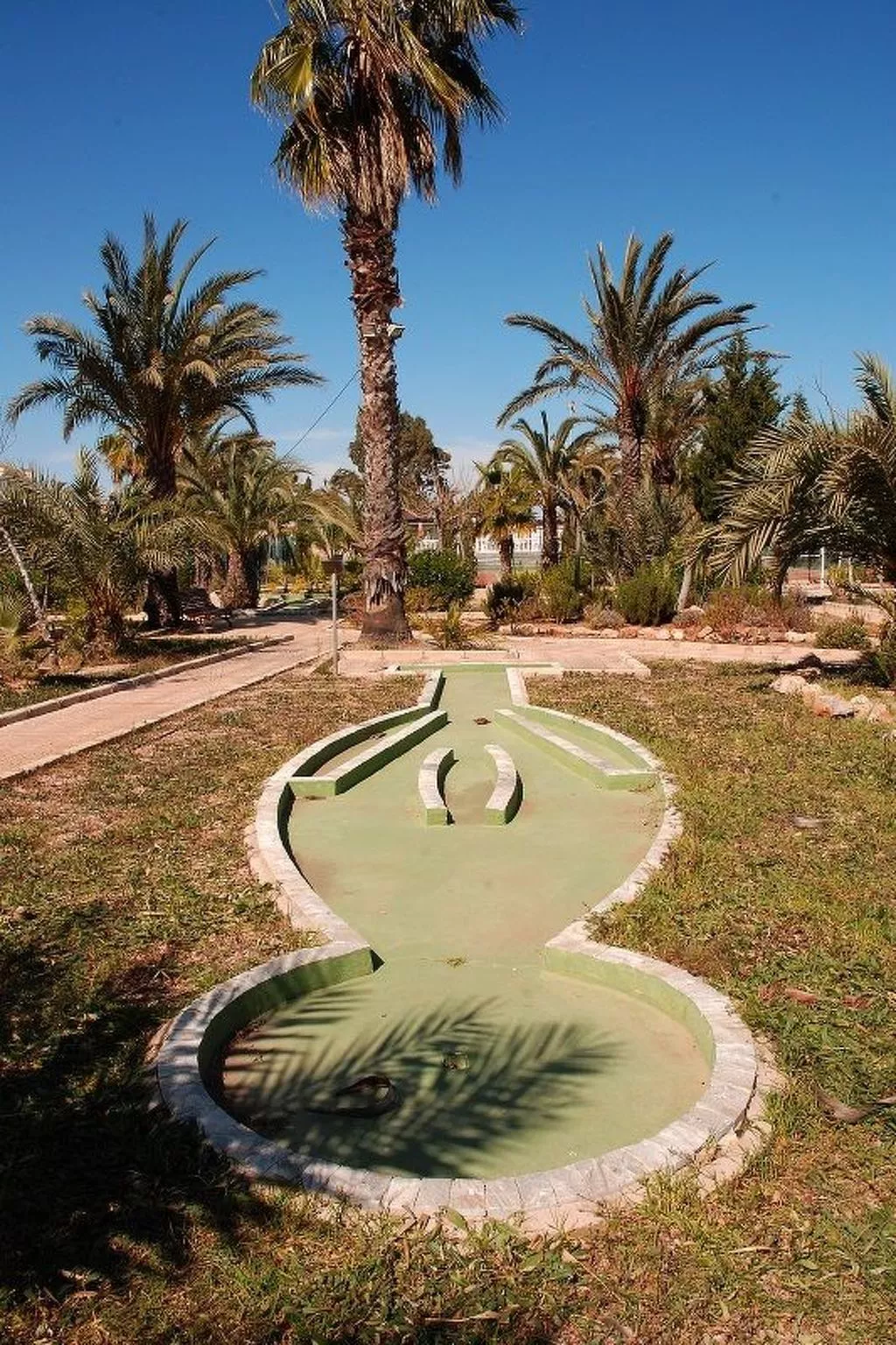 Violeta 17 - Image-tags.info