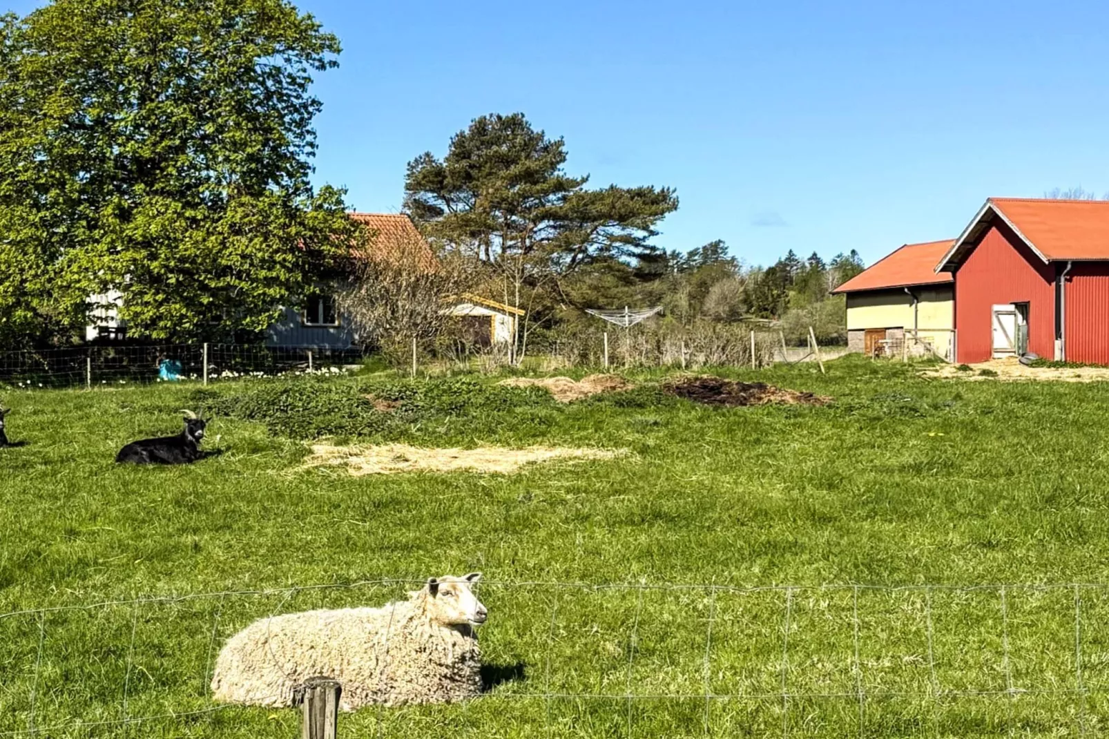 Vakantiehuis aan zee bij Gullmarsfjord