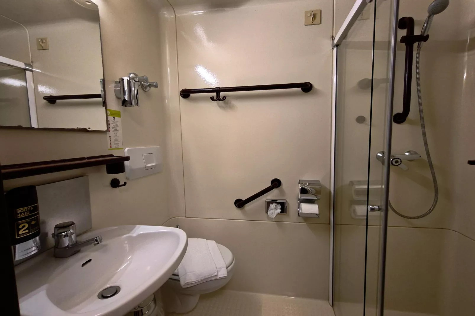 Twin Room - Badkamer