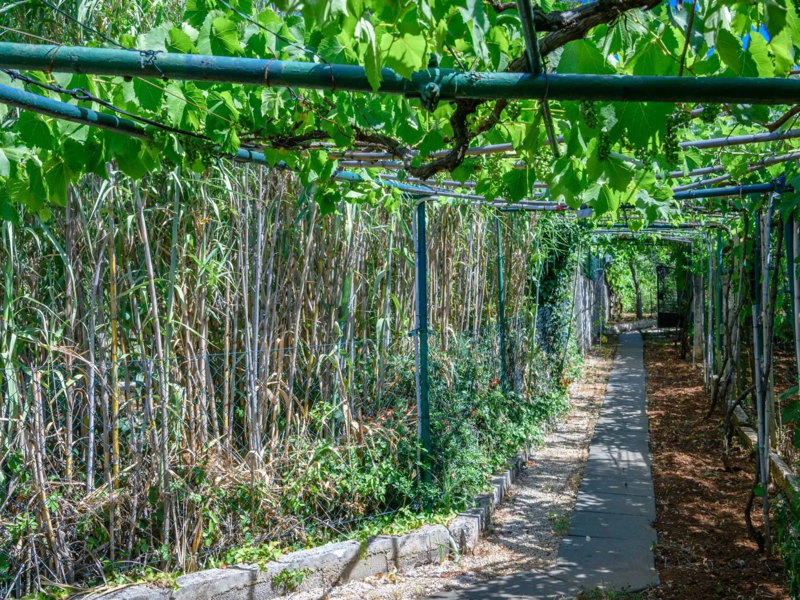 Wunderschönes Ferienhaus in Pomer mit Garten