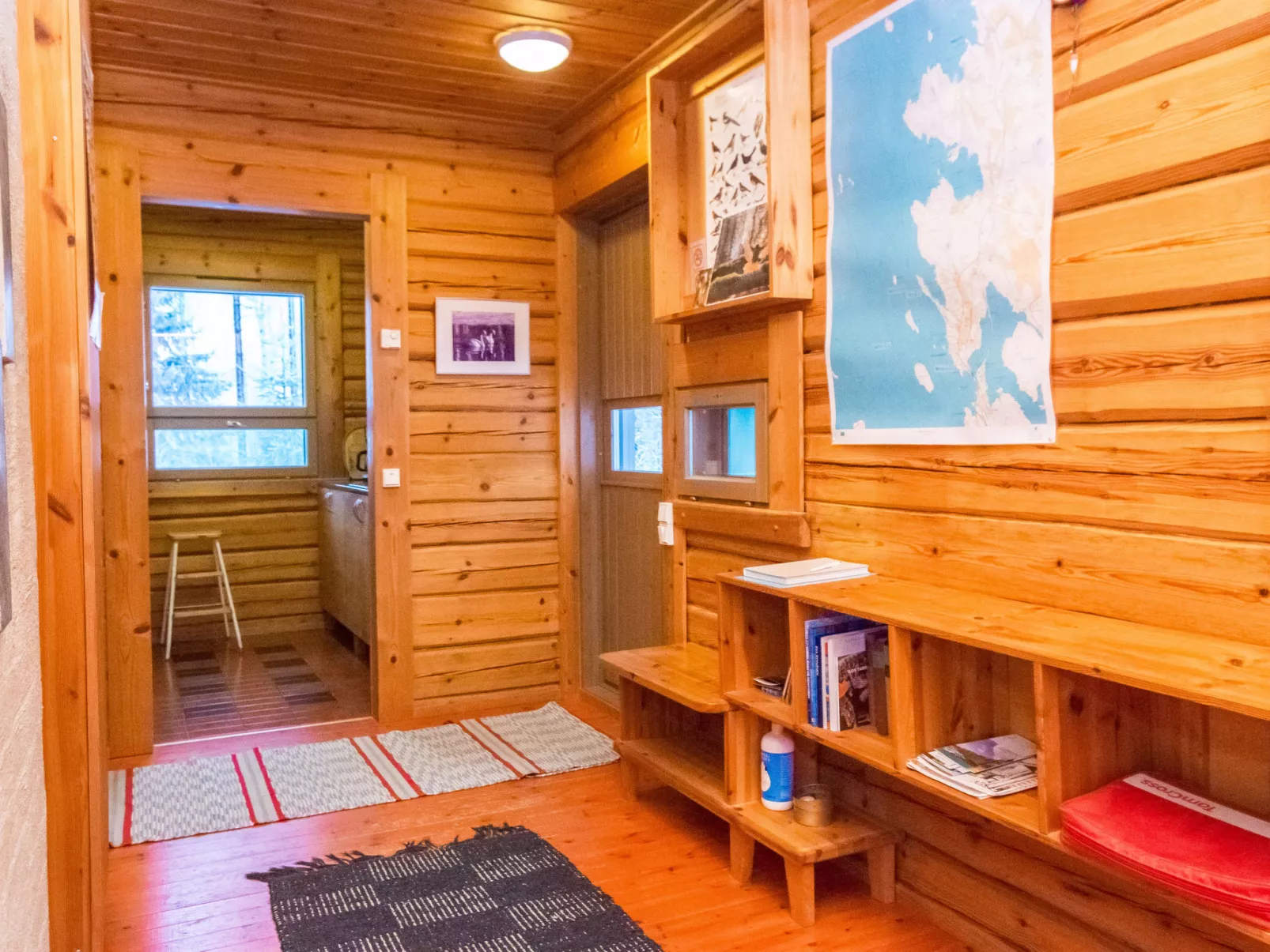 Luhtalemmikki - Binnen