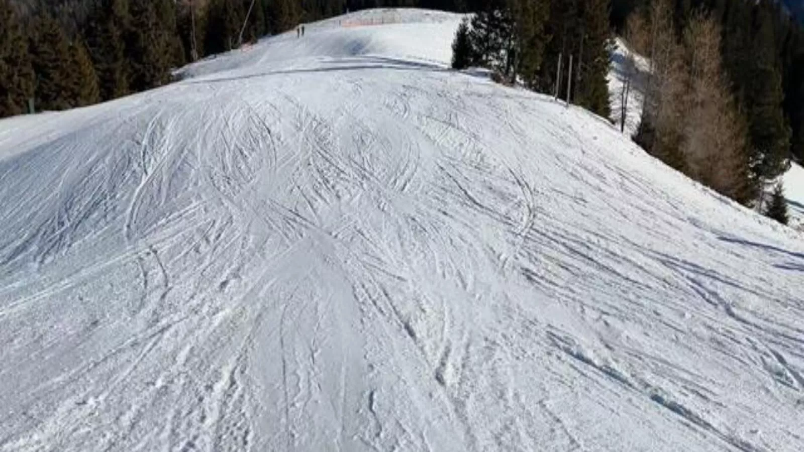 Feistritz Berg und See - Gebied winter 20km