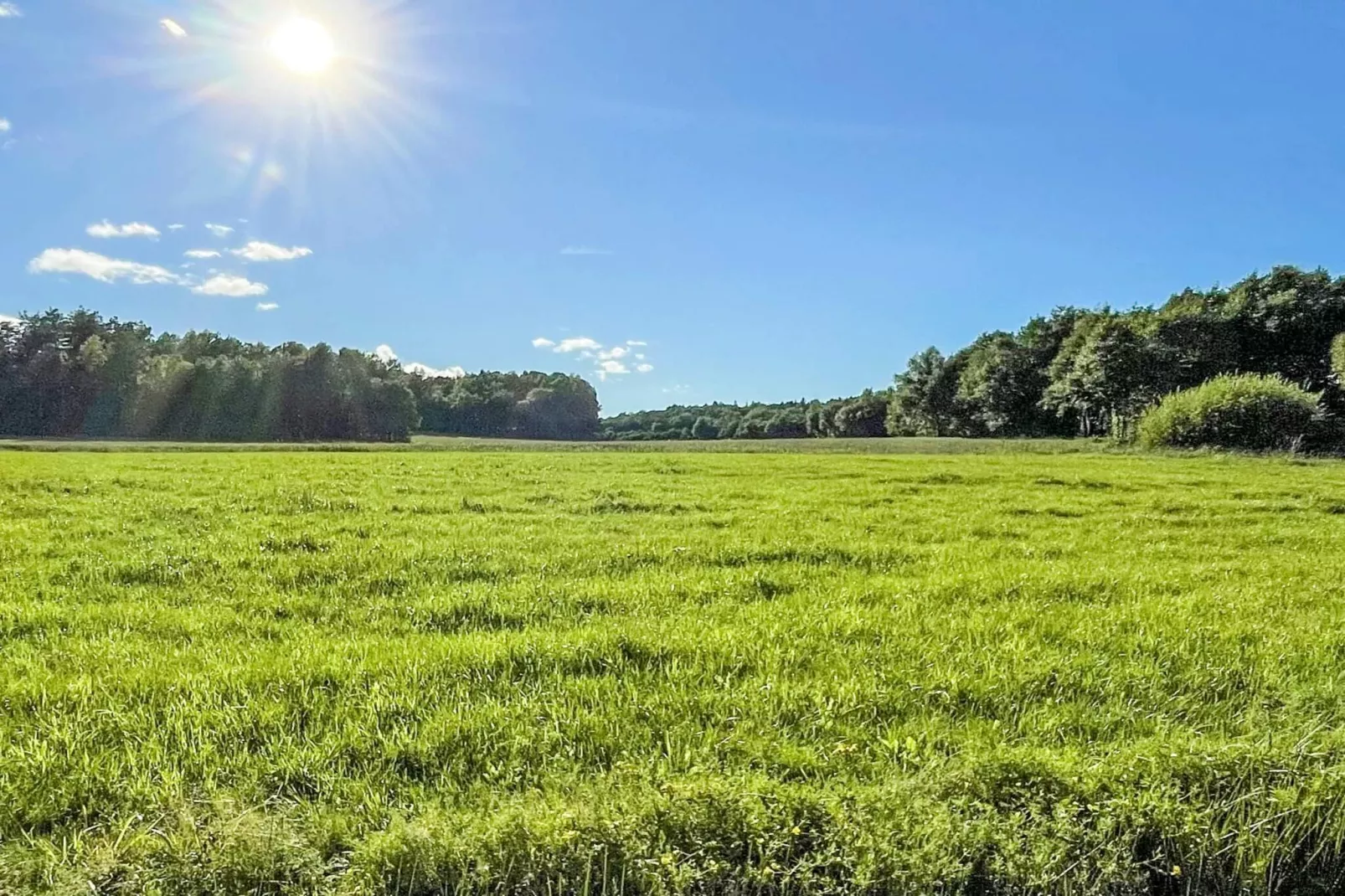 Vakantiehuis aan zee bij Gullmarsfjord - Niet-getagd