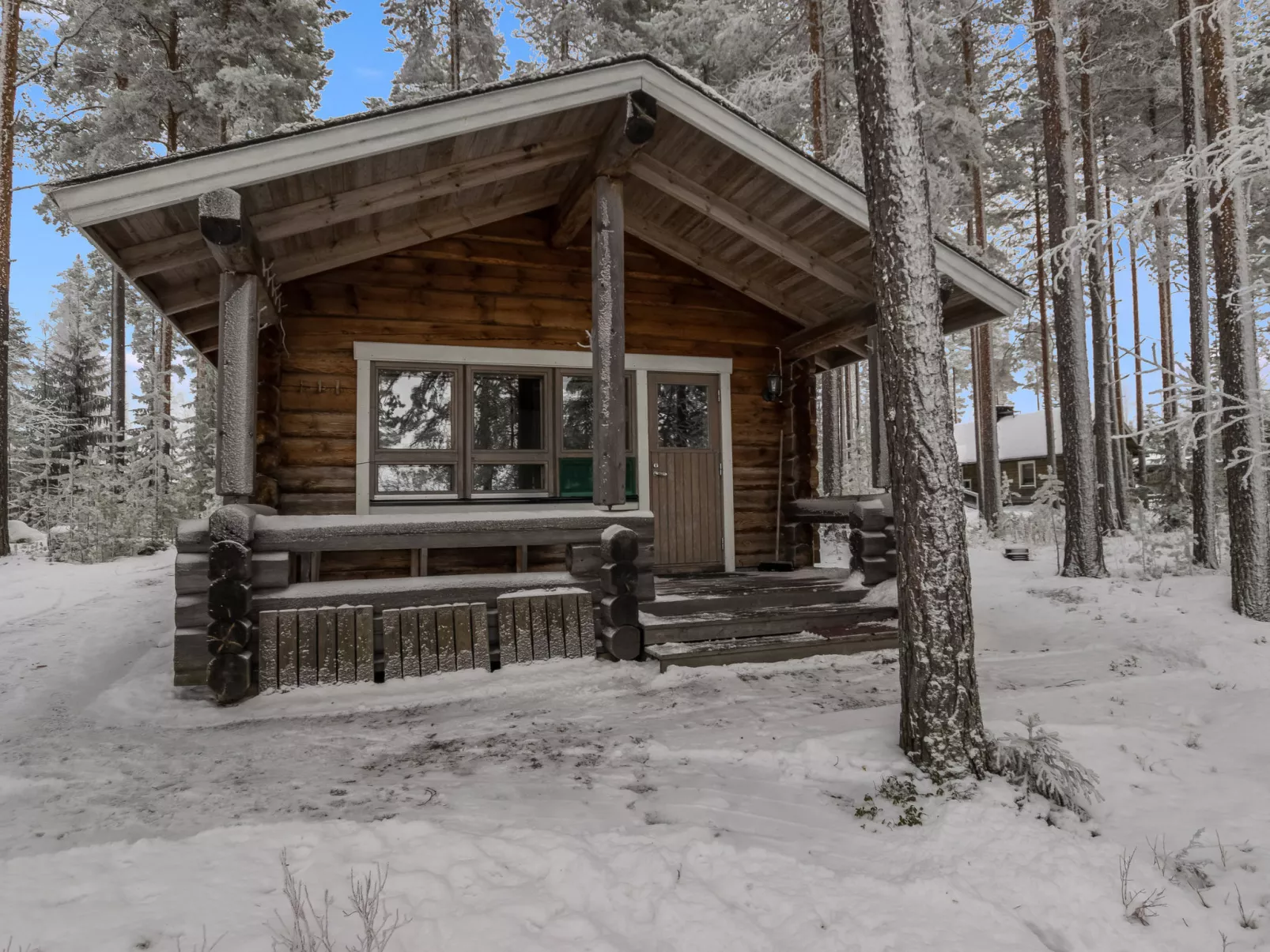 Luhtalemmikki - Binnen