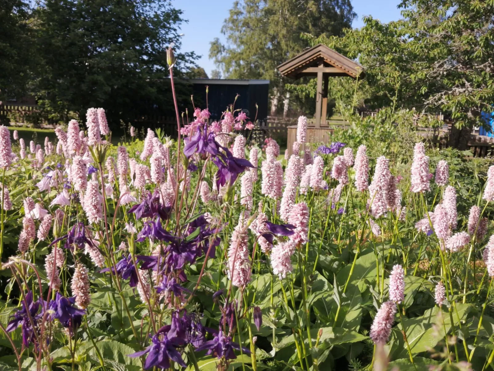 Buntes Schwedenhaus Lillebror - Buiten
