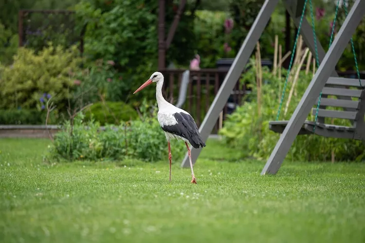 Osada Trzy Siostry domek nr 1 dla 5 osób Dąbrowa - Tuinen zomer