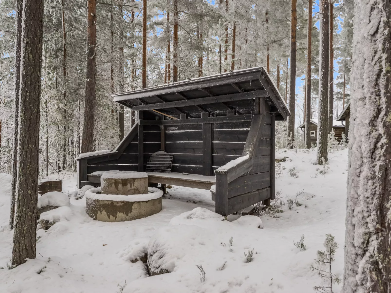 Luhtalemmikki - Binnen