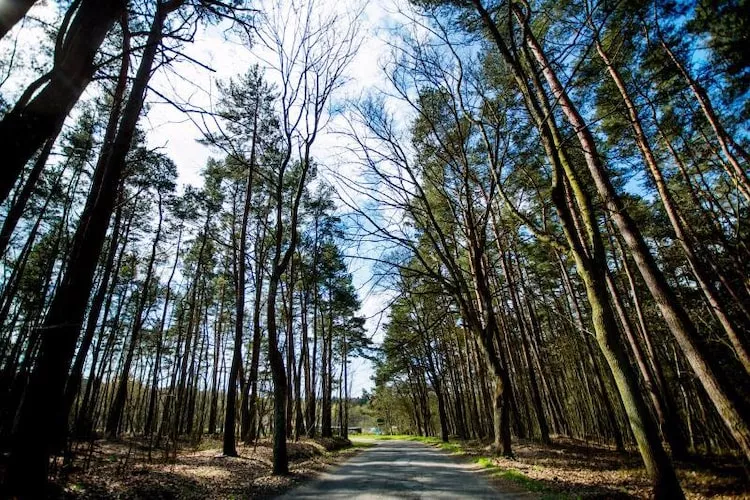 Dom wakacyjny w Karwieńskich Błotach - Gebieden zomer 1km