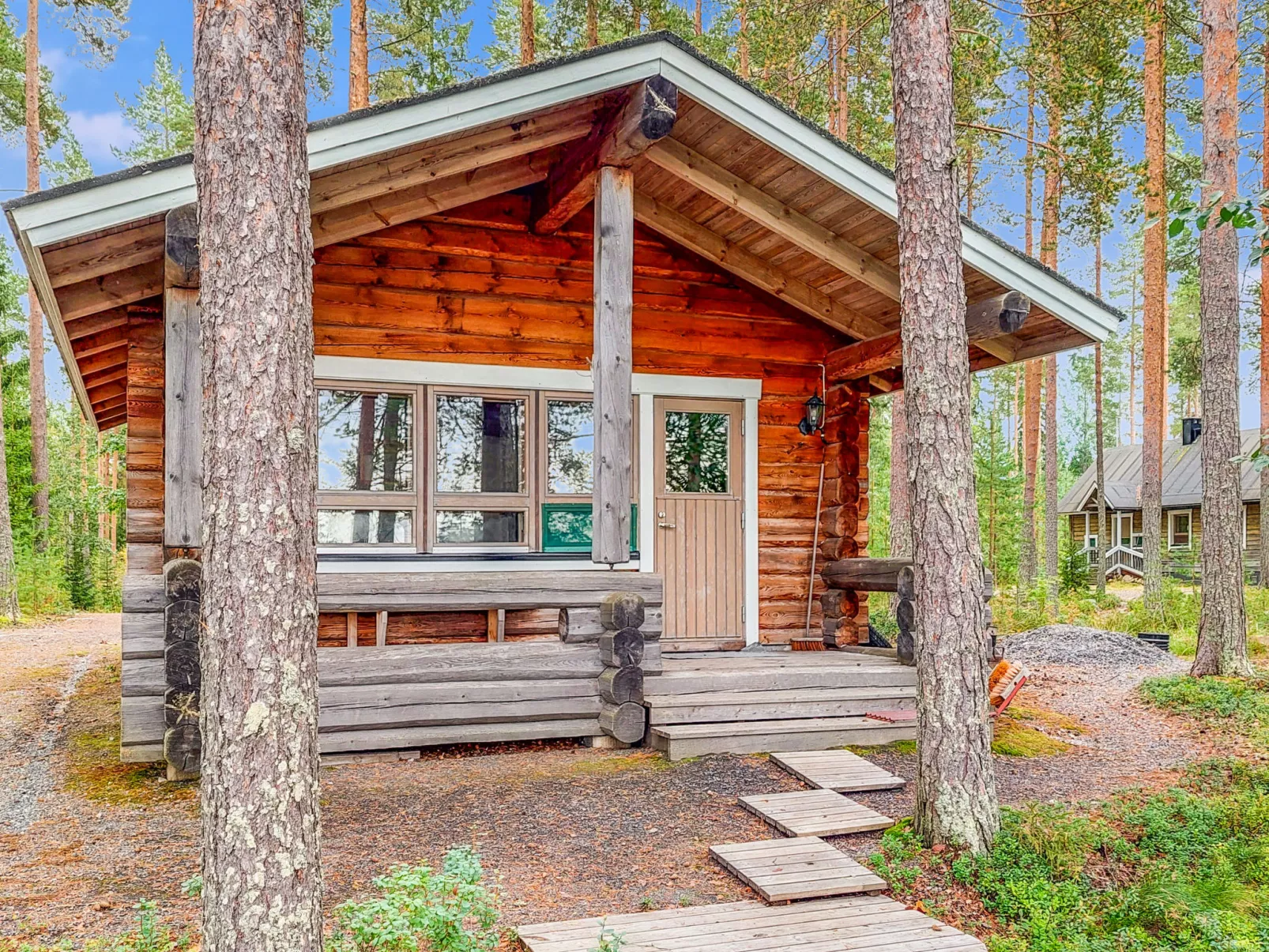 Luhtalemmikki - Binnen