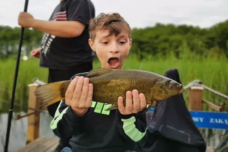 Domek JĘDREK dla max 6 osób Lubrza - Gebieden zomer 1km