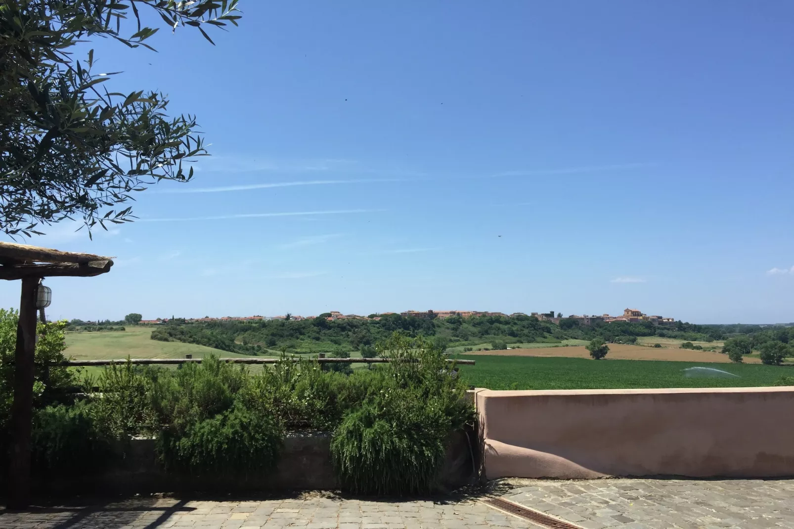 Corbezzolo - Uitzicht zomer