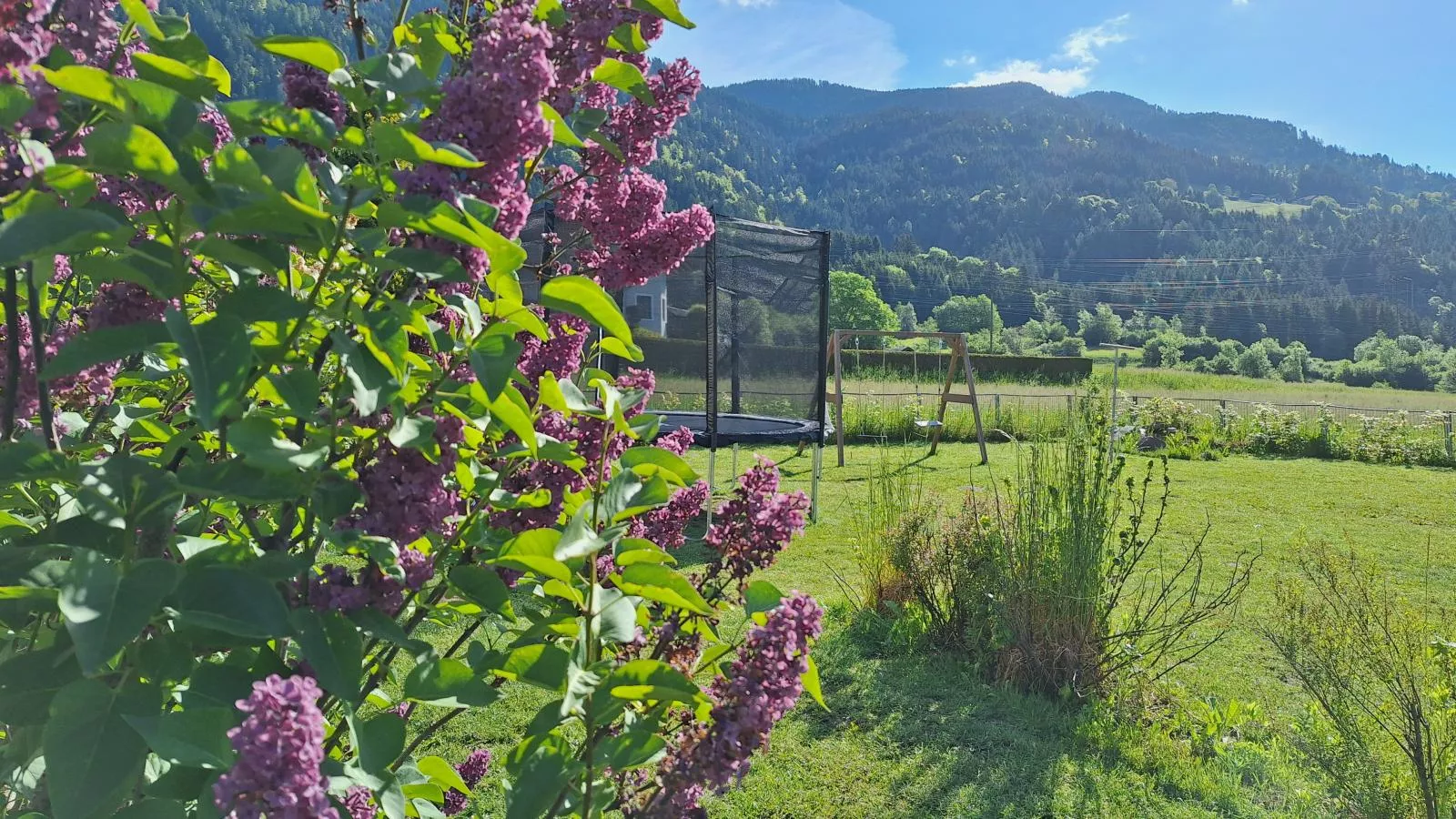 Jukbichl - Tuinen zomer