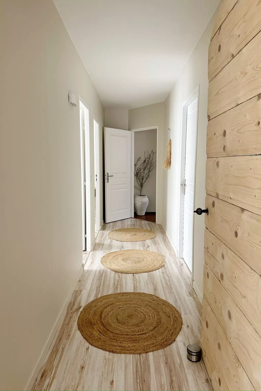 Tarabucetta - Binnen