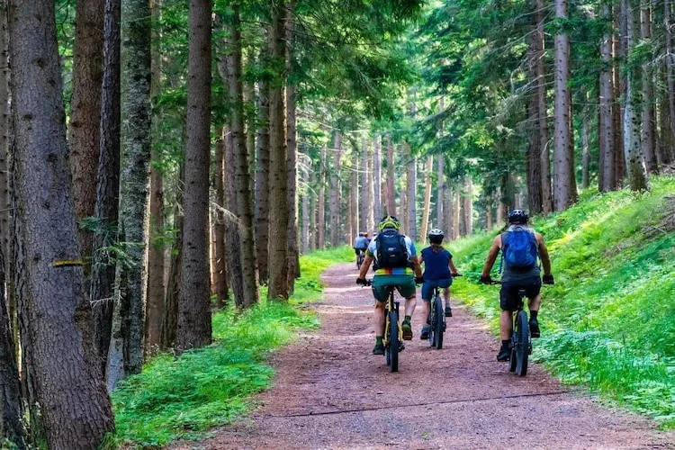 Dom wakacyjny bliźniak Wdzydze 1 - Gebieden zomer 1km