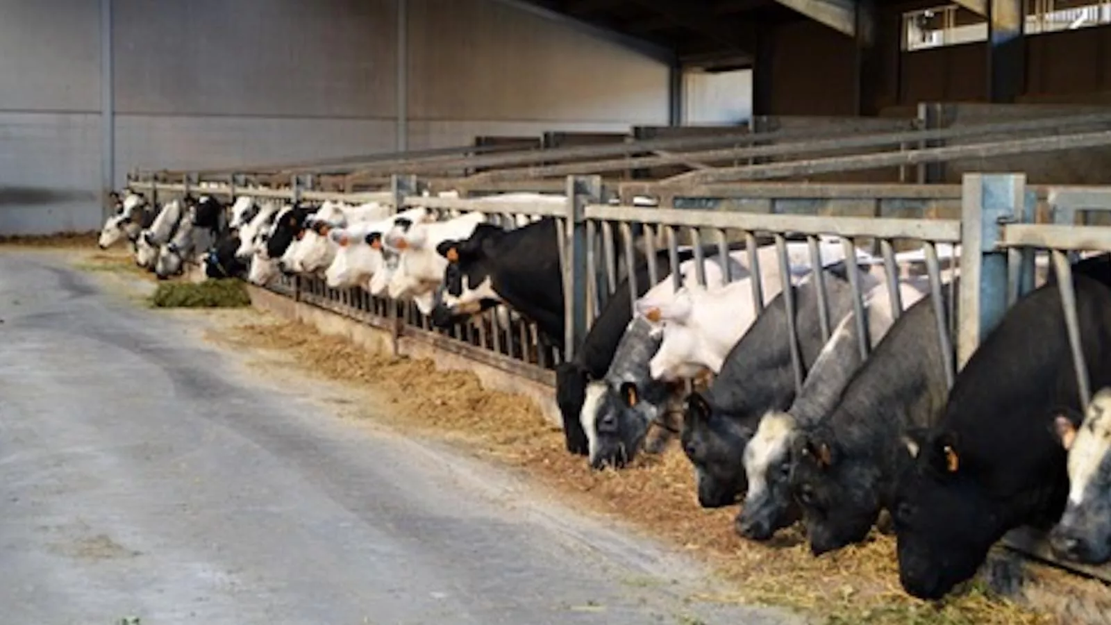 Rozenberghoeve - Gebieden zomer 1km