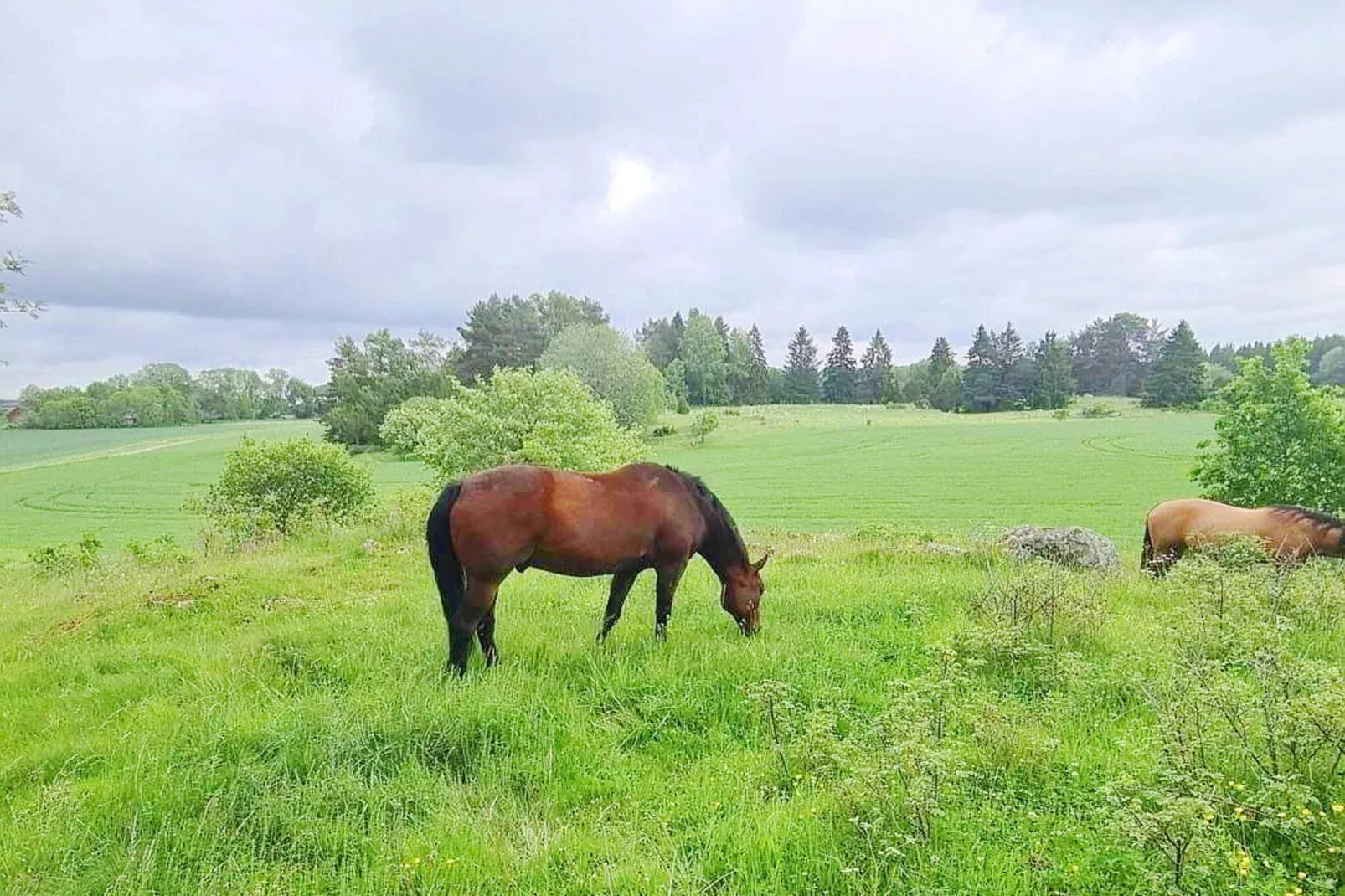 4 sterren vakantie huis in UPPSALA