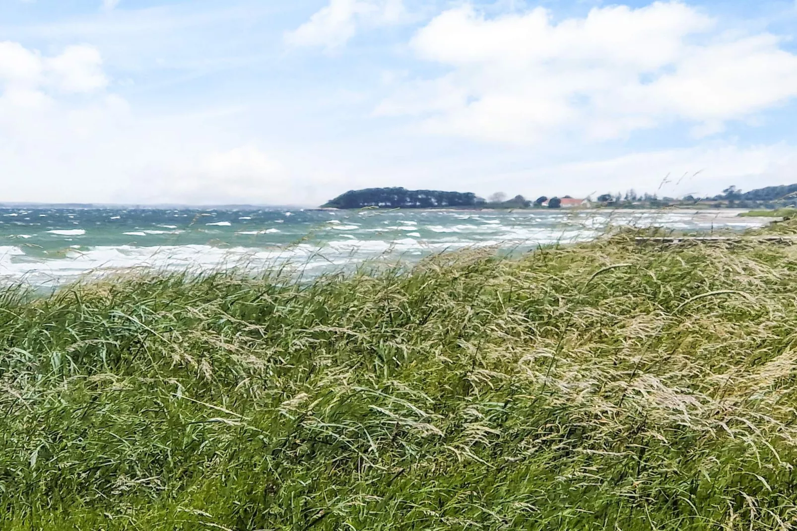 4 Personen vakantie huis in Assens