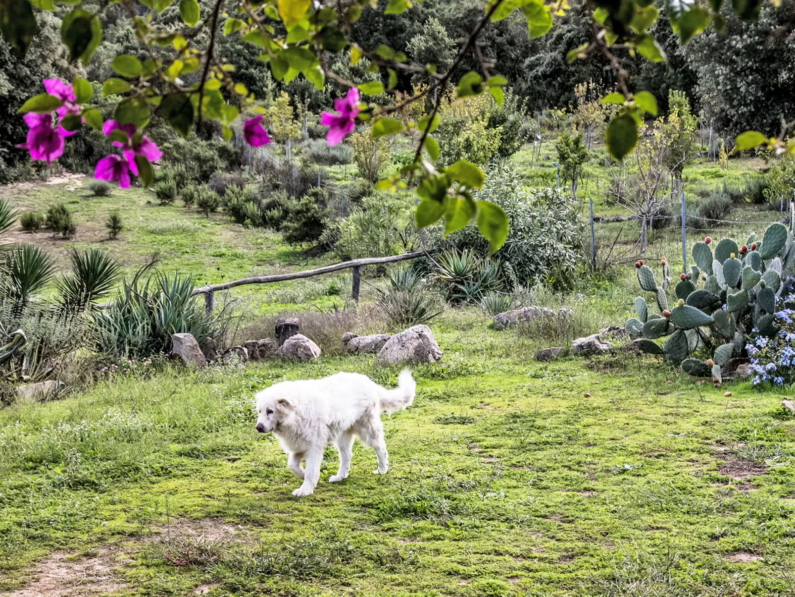 La Casetta Di Legno Nel Bosco - Binnen