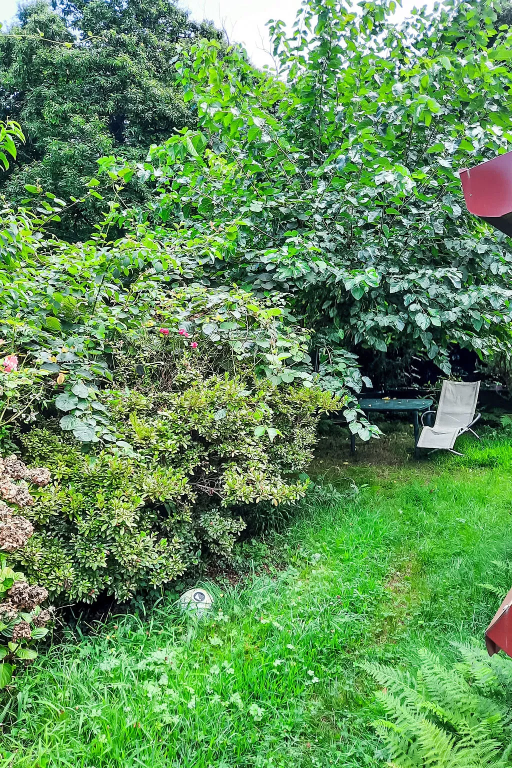 Brezzo di Bedero - Buiten