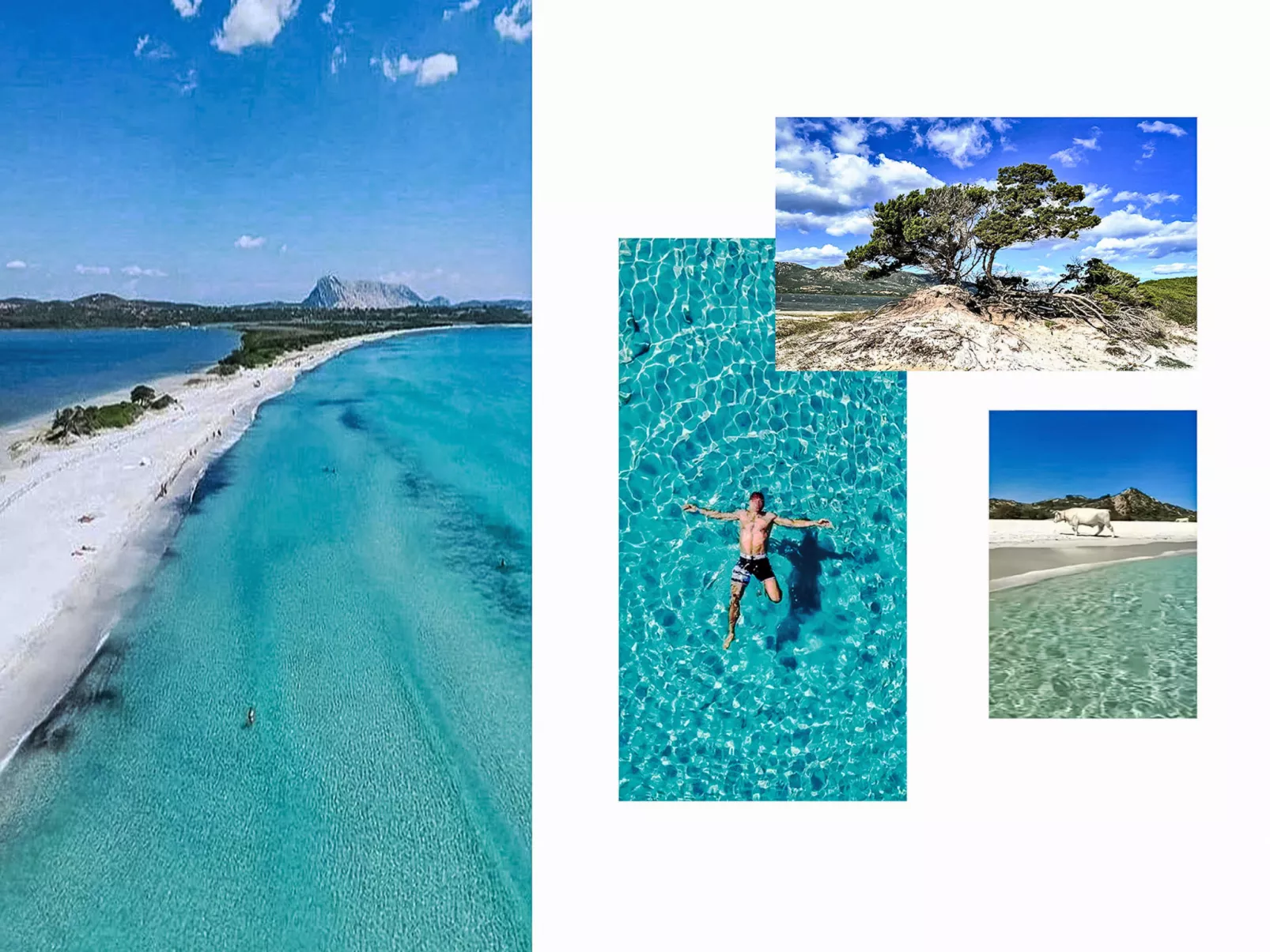 La Casetta Di Legno Nel Bosco - Binnen