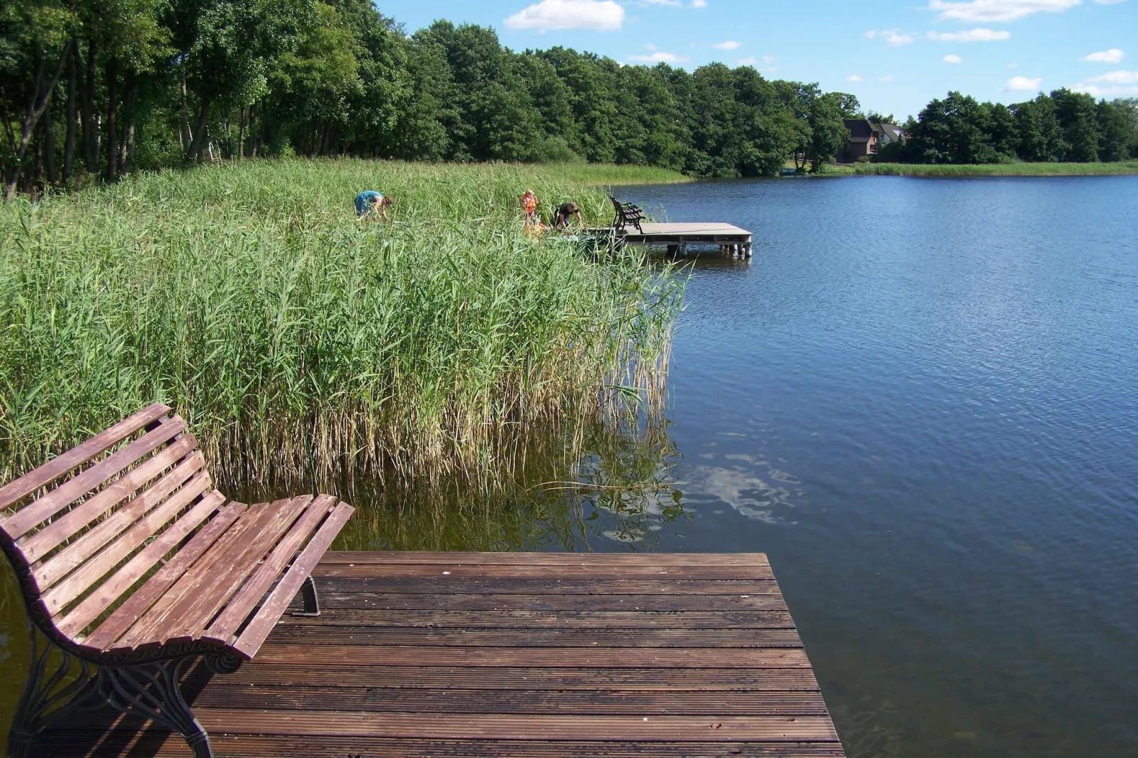 Mobilheim mit 2 Schlafzimmern bis 4 Personen - Parkfaciliteiten