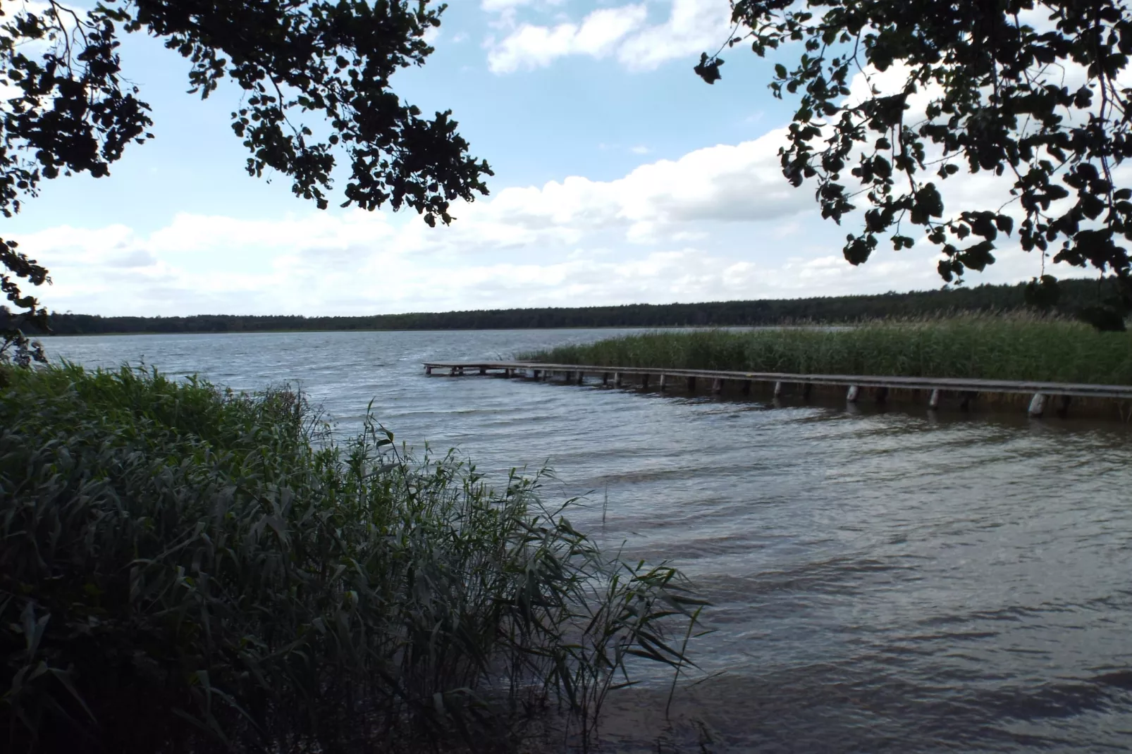 Bungalow Schlowe Unter d Eiche 4 P - Gebieden zomer 1km