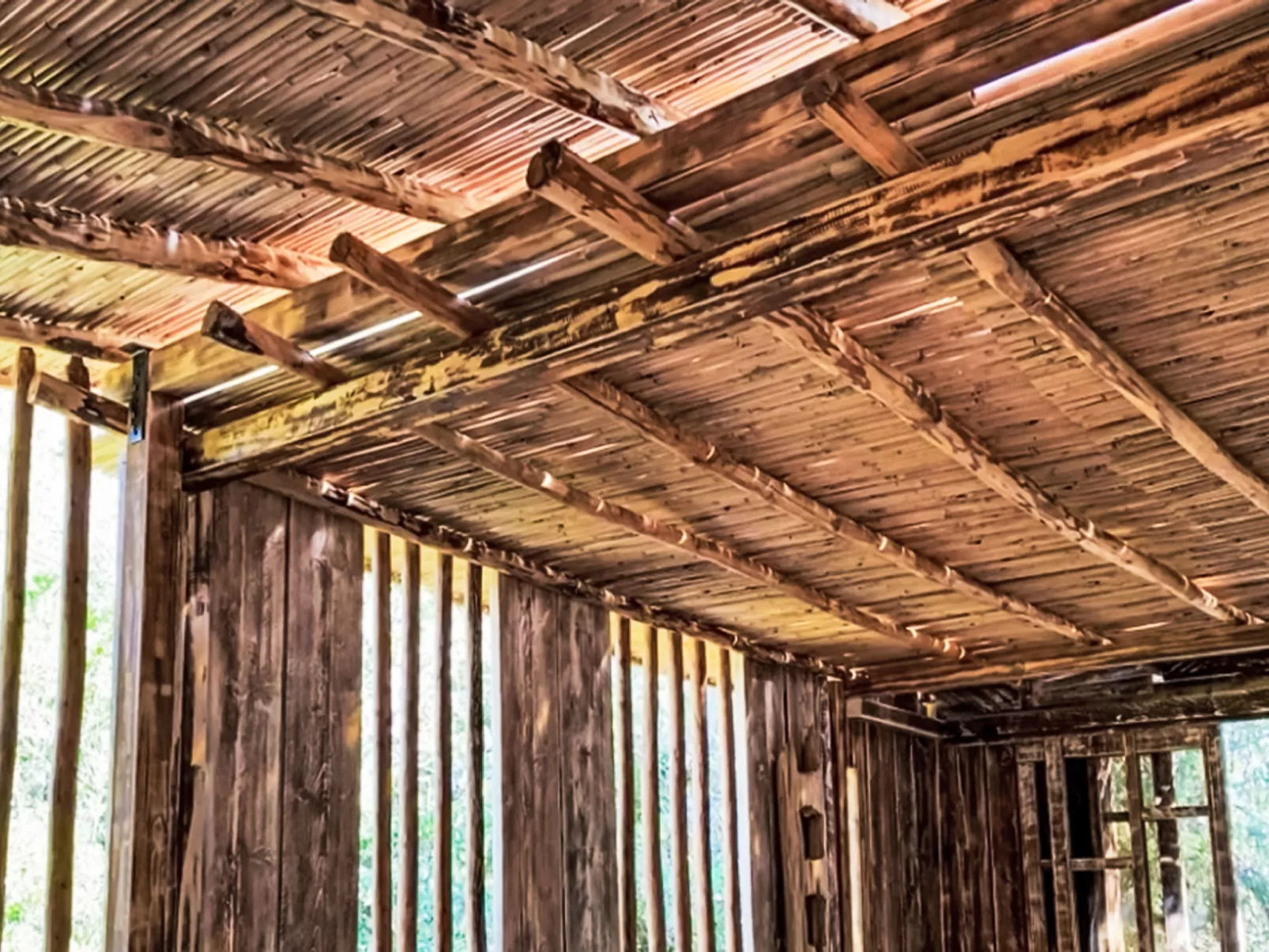 La Casetta Di Legno Nel Bosco - Buiten