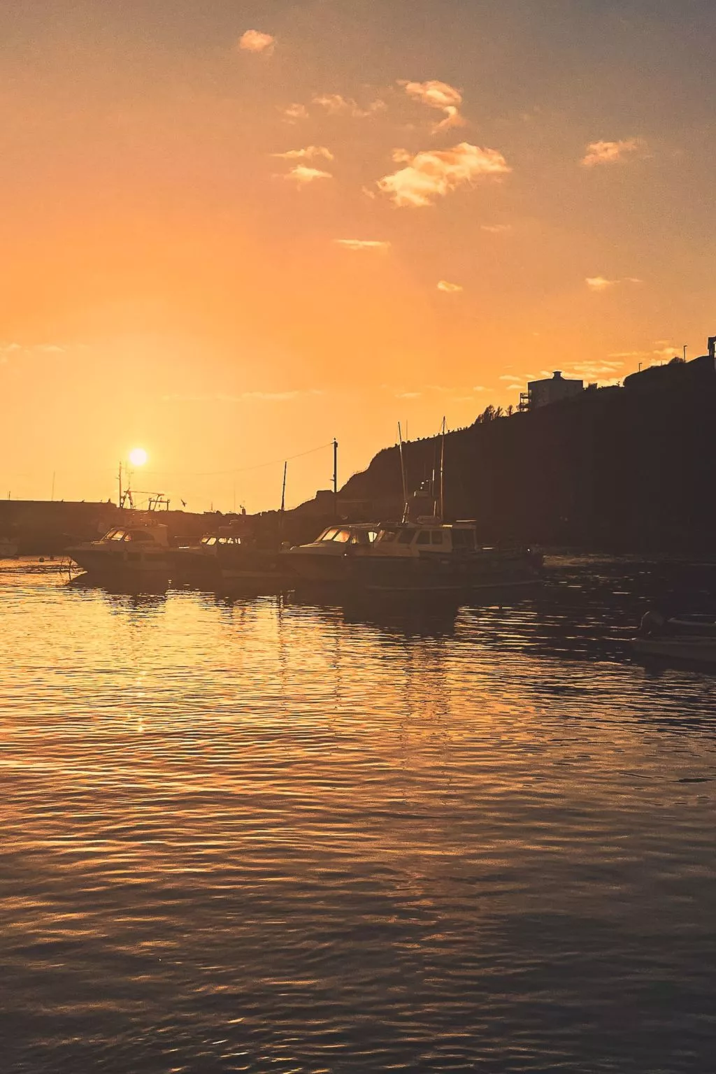 Dock of the bay - Omgeving