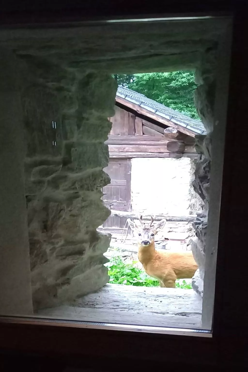 Rustico Raslina - Buiten