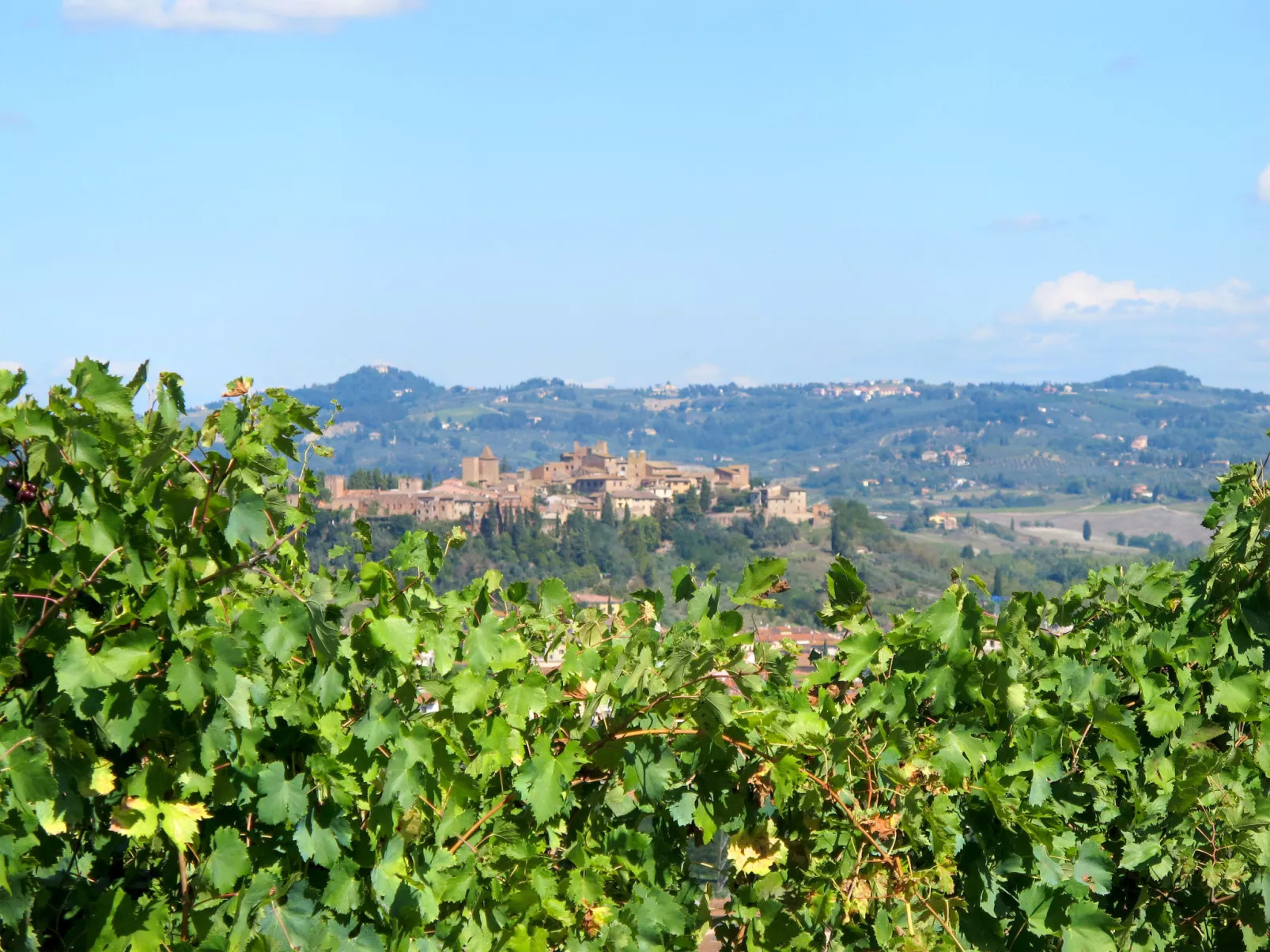 Podere Galieni - Omgeving