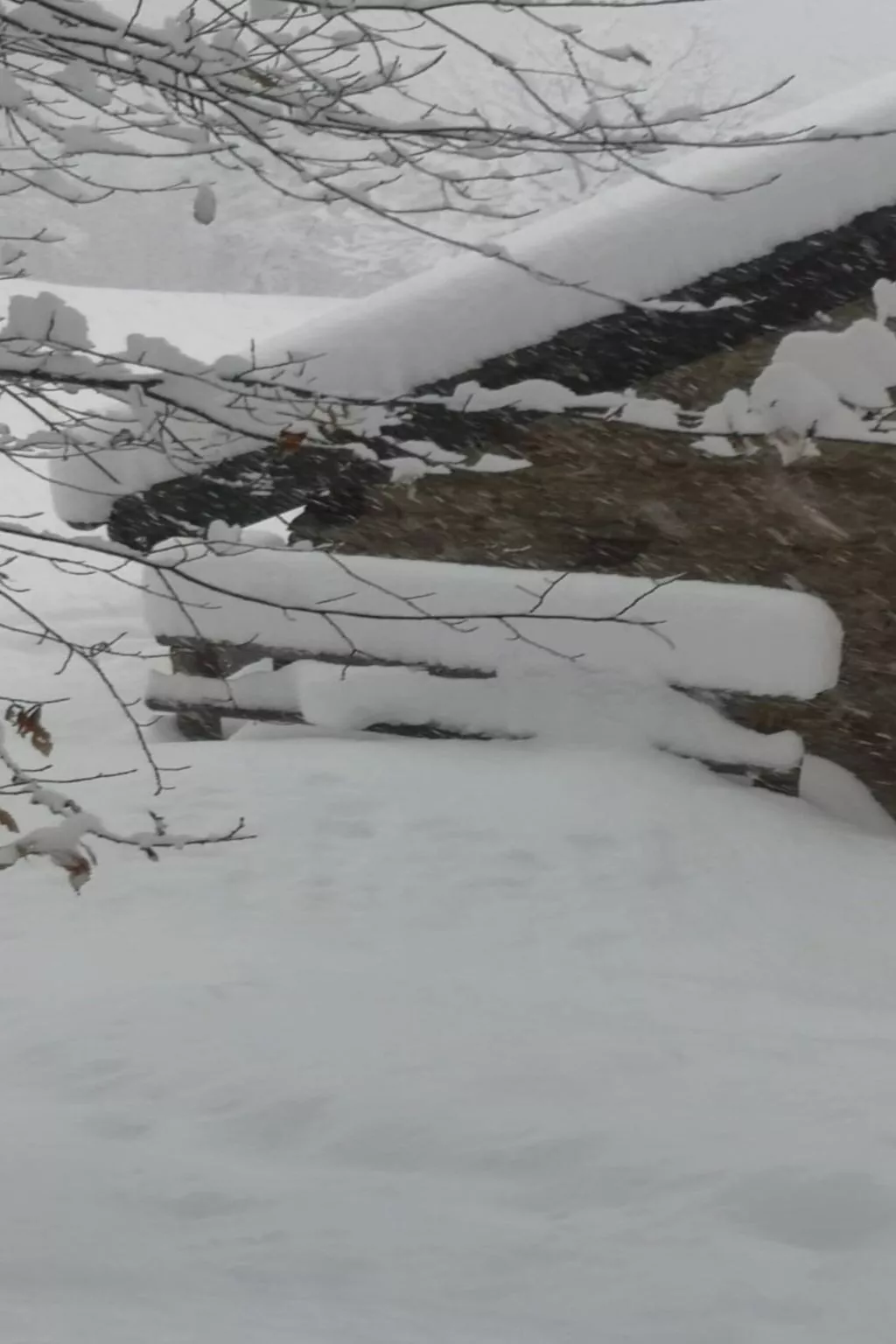 Rustico Raslina - Binnen