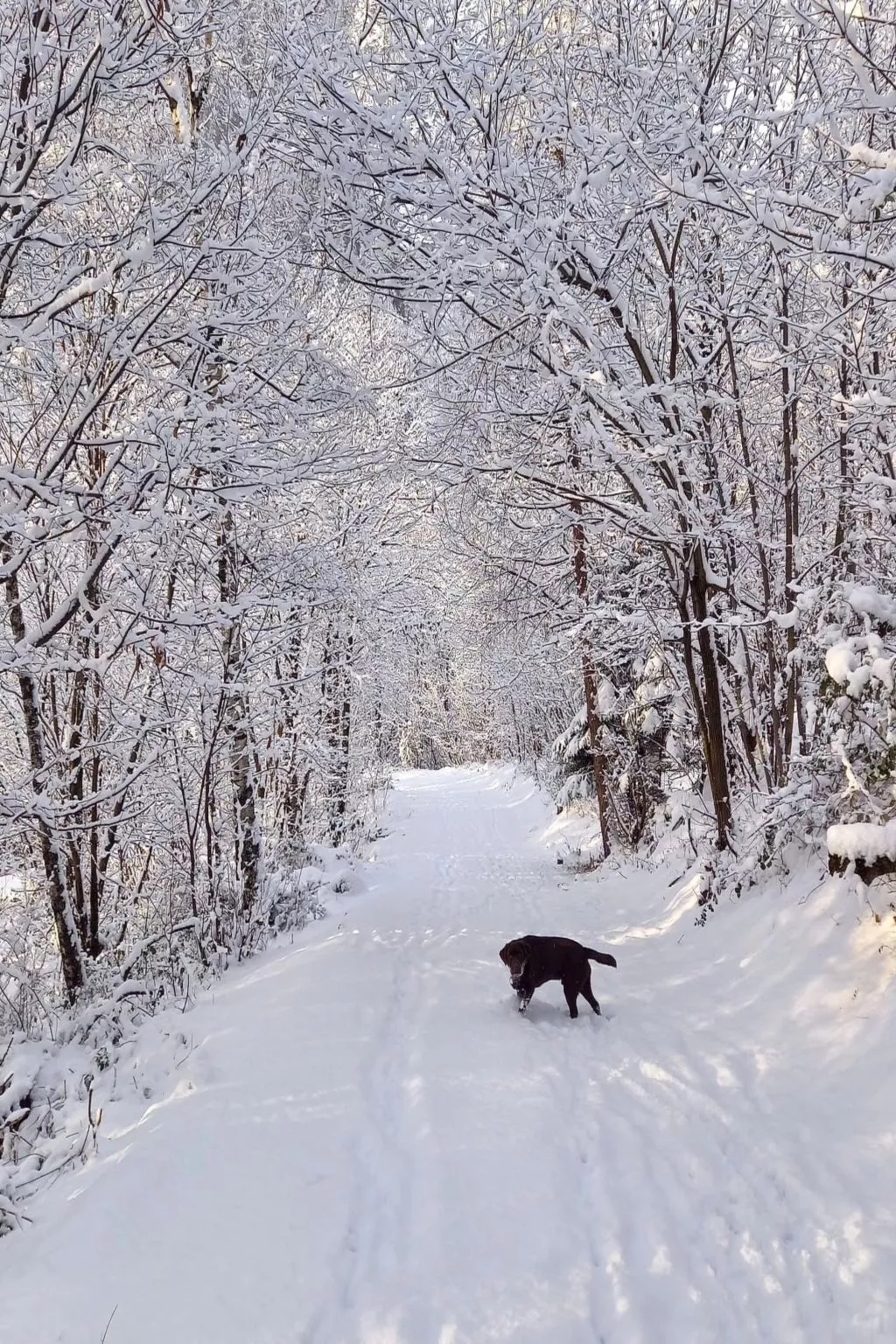 Rustico Raslina - Binnen