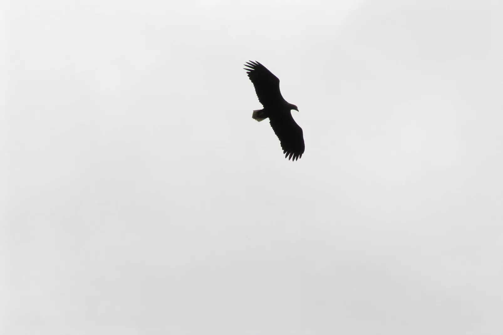 Mobilheim mit 2 Schlafzimmern bis 4 Personen - Parkfaciliteiten