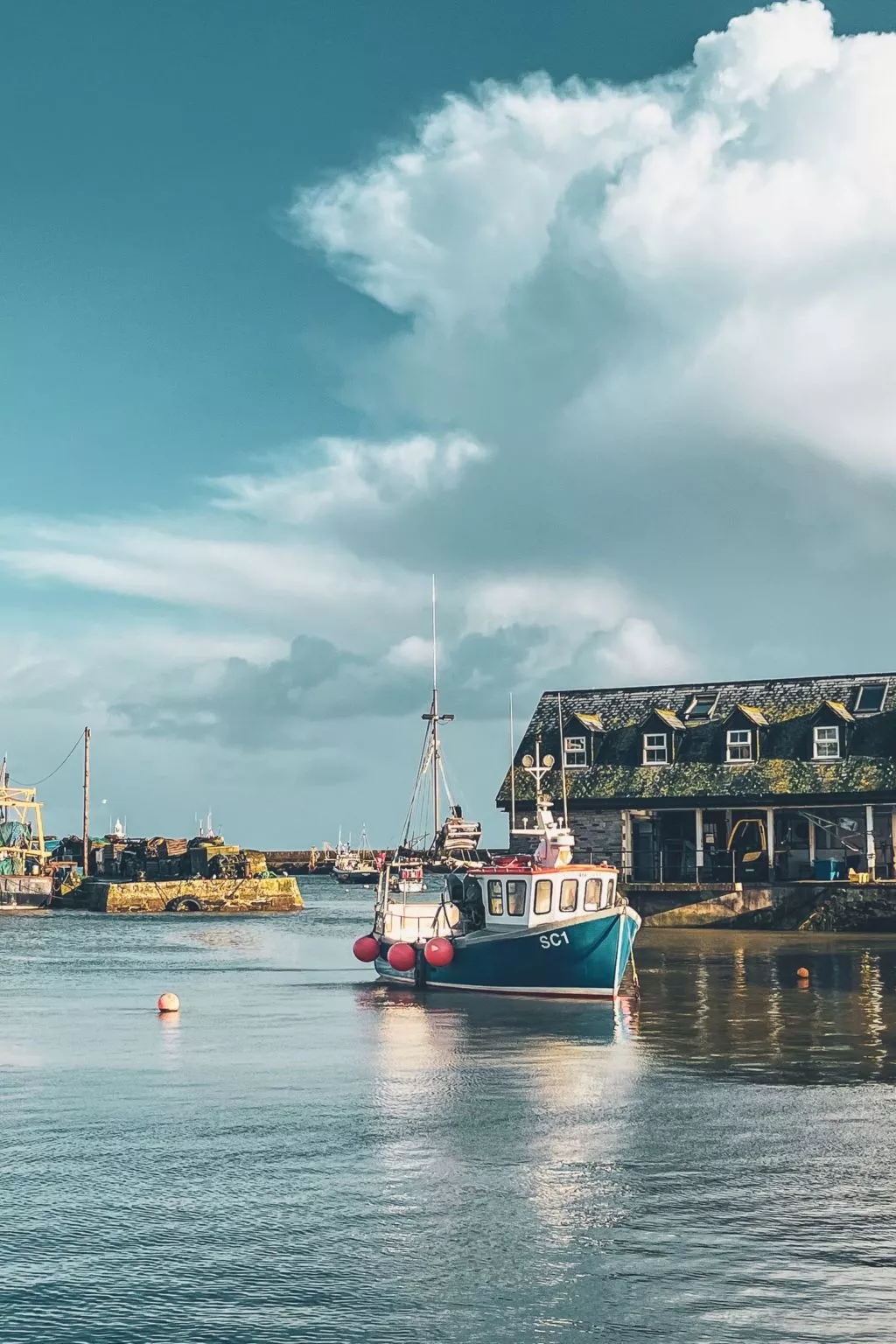 Dock of the bay - Omgeving