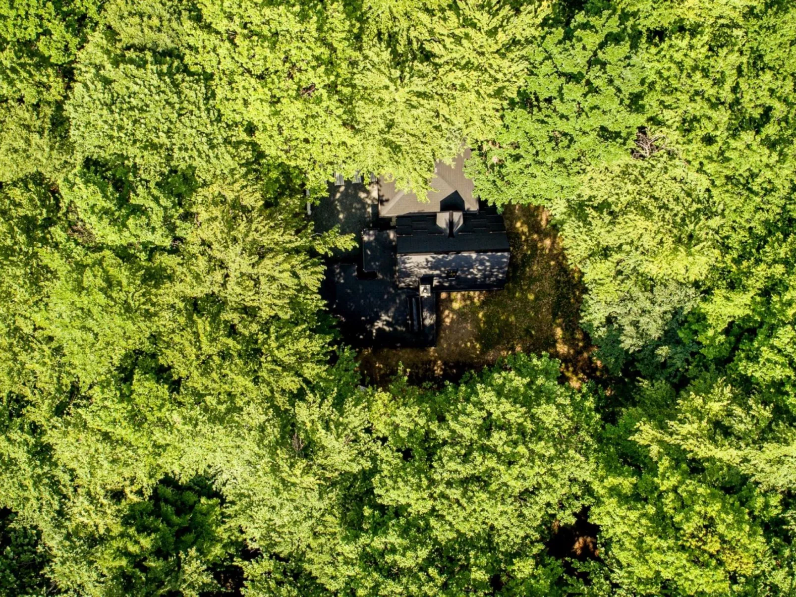 House Cabin Winterfell