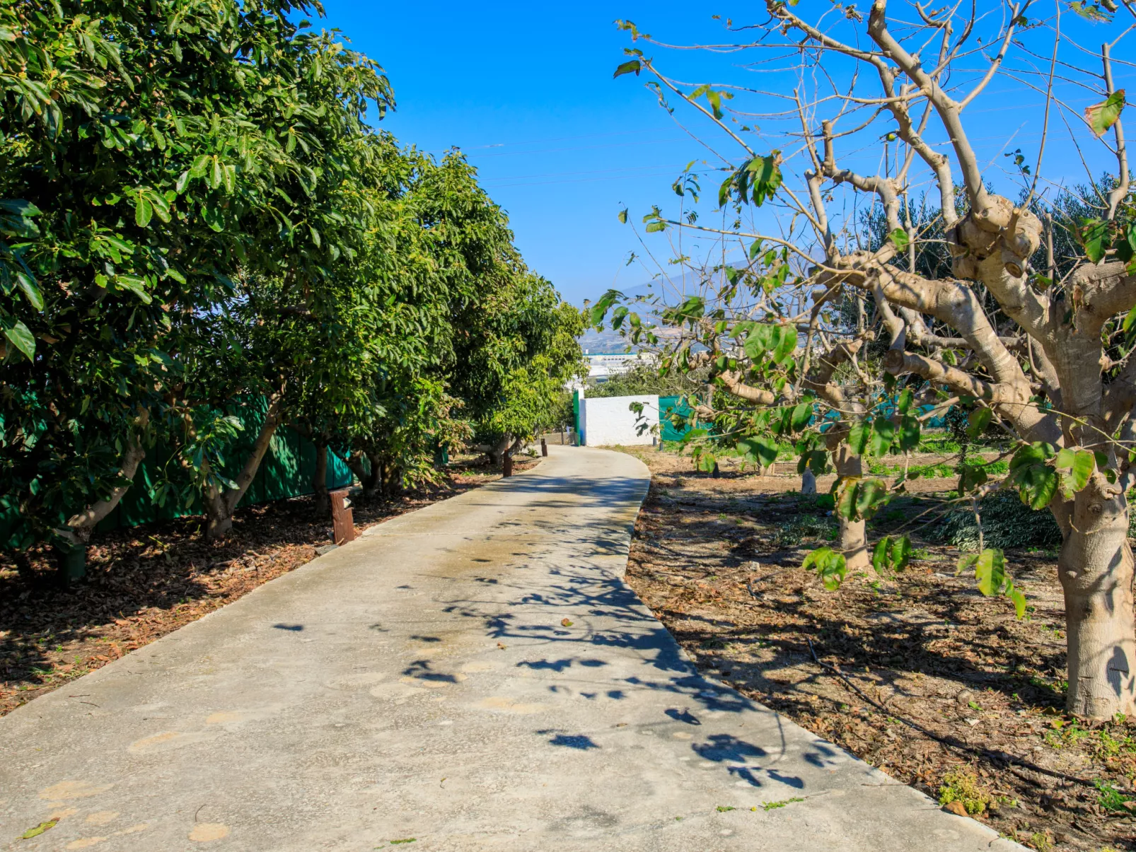 Villa Estévez - Buiten