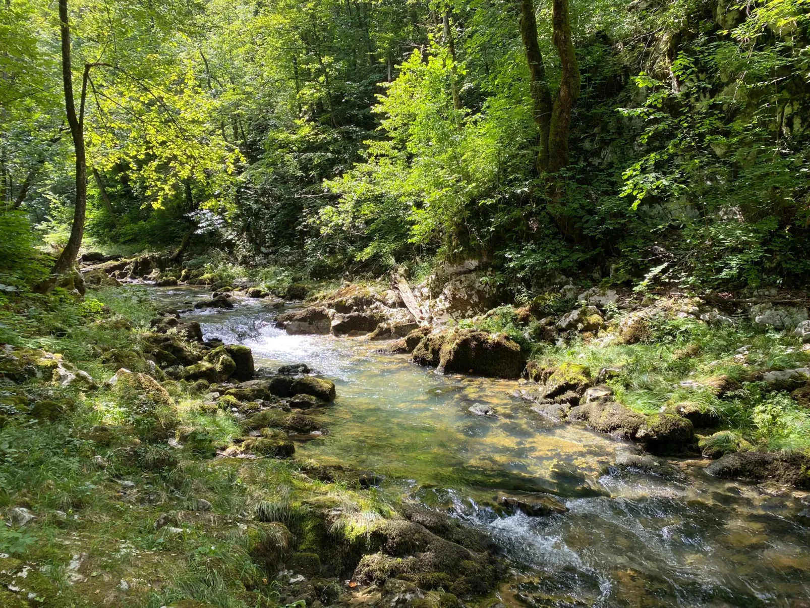 House Veles - Omgeving